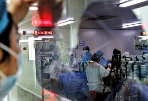 五年助推50個億級新品牌，拼多多新品牌計劃引領化妝品國貨崛起